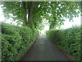 Road (bridleway) to Warford Grange Farm