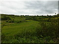 Grassland, shrubs and hedges