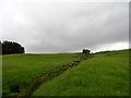 NZ0635 : Stream across field, Weardale by Robert Graham