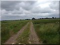 TL2845 : Farm track off Cobbs Lane by Dave Thompson