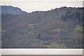 NH5631 : Highland : Loch Ness by Lewis Clarke