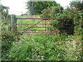 Gate at Kennel lane on the footpath from Shaw