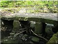 Clapper bridge at Brookfoot: side view