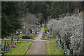 Inverness : Tomnahurich Cemetery