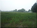 Crop field, Lindow End