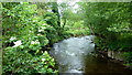 The Grwyne Fawr at Pen-y-bont, 2