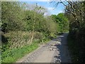 Road below the Owl Bridge