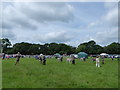 A wonderful day at the Cranleigh Show (4)