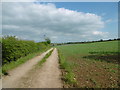 Farm track near Wilsford