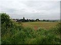 Farmland on the Outskirts of Conisbrough