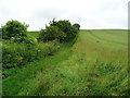 Footpath over the hill, Lilley