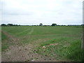 Grassland near Quarry Gill