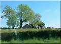 Bungalow off the Mowhan Road