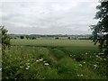 Farmland at Conisbrough Parks