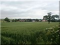 View Towards Braithwell