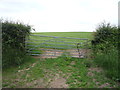 Field entrance near Biglands