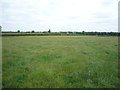 Grazing near Middlemoor House Farm