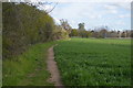 Footpath heading north