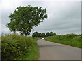 The road to Ridlington