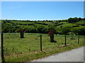 Fields near Capuan