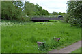 Allard Way crosses the River Sowe by Lindfield Park, Stoke Aldermoor, Coventry