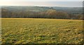 Field near Parrs Leigh