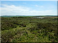 Browngelly Downs looking towards Clay Pit Lake