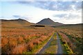ND0429 : Track to Corrichoich and Morven, Caithness by Andrew Tryon