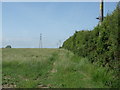 Farm track, Spring Close