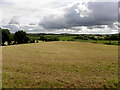 Lurganboy Townland