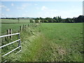 Grazing and fence line, Low Whinnow