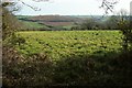 Field above Trefanny Hill