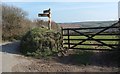 Signpost near Pendriscott