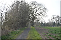 TL4155 : Bridleway to Grantchester by N Chadwick