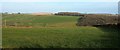 SX1756 : Countryside south of Lanreath by Derek Harper