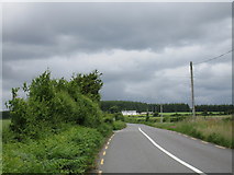 W9182 : Road north of Rathorgan Cross Roads by Jonathan Thacker