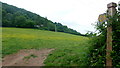 Footpath to Twyn-yr-allt