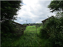 W8787 : Gateway and fields beyond near Britway by Jonathan Thacker
