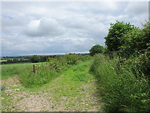 W8887 : Field entrance and farm track near Britway by Jonathan Thacker