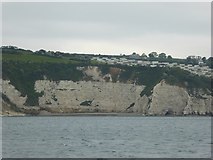 SY2288 : Pound's Pool cliff and beach, below Beer Head Caravan Park by David Smith