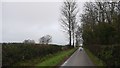 Road from Wickton