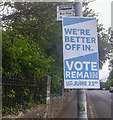 2016 EU Referendum poster, Belfast