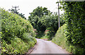 Heath Lane near Great Witchingham