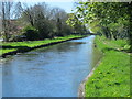 The New River by Severn Drive, EN1 (4)