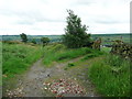 Dark Lane, Soyland