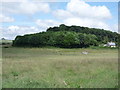 Farmland and woodland, Highridgehall