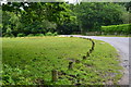 Grassed area beside Norleywood Road
