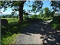 Track near Kilmahew Farm