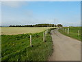 Rural Road near Trewey Common