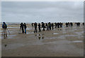 TF7545 : Low tide flock of birdwatchers by Hugh Venables